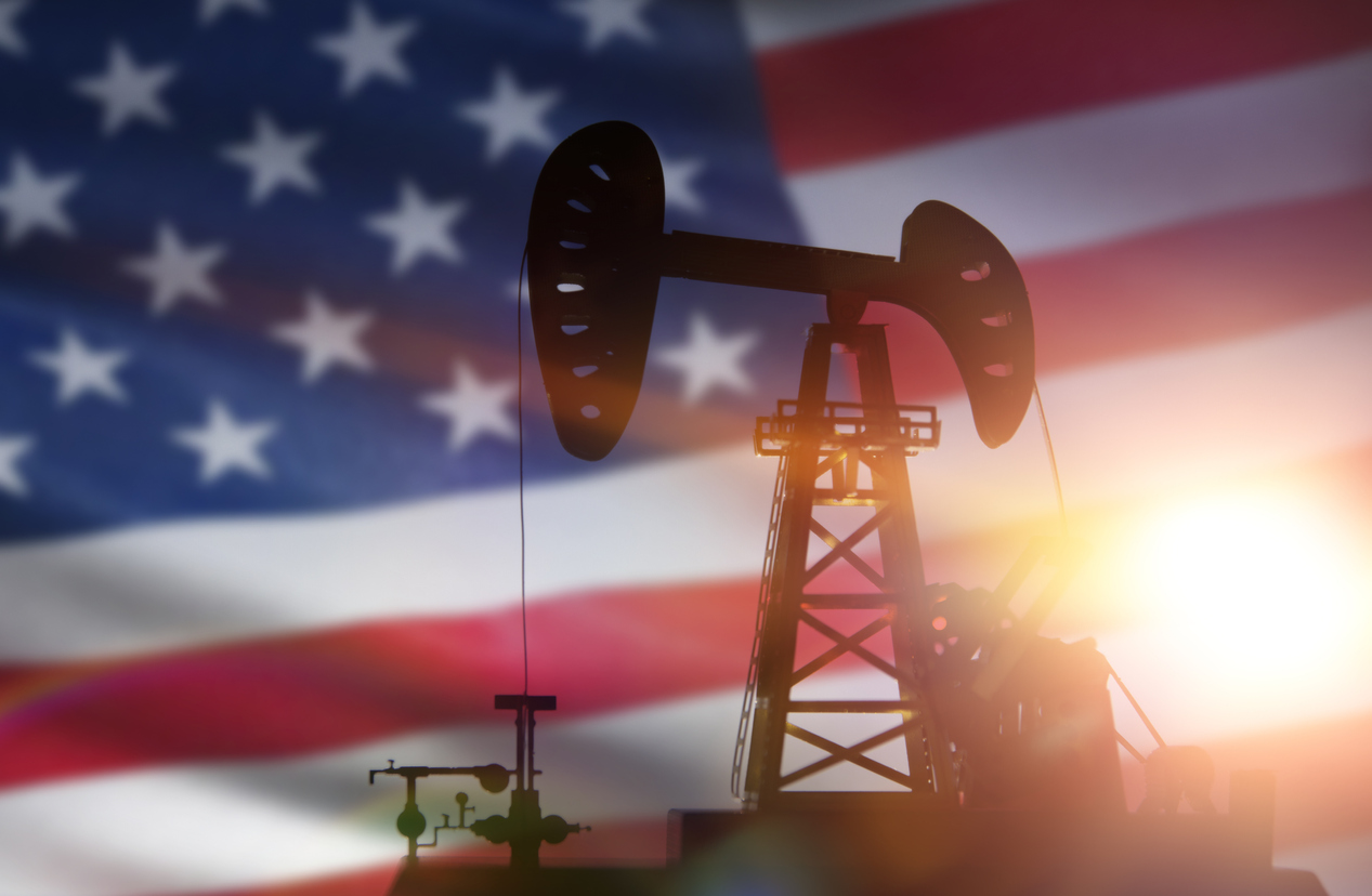 Oil Politics and Energy Prices